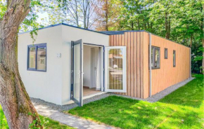 Awesome Home In Heinkenszand With Kitchen